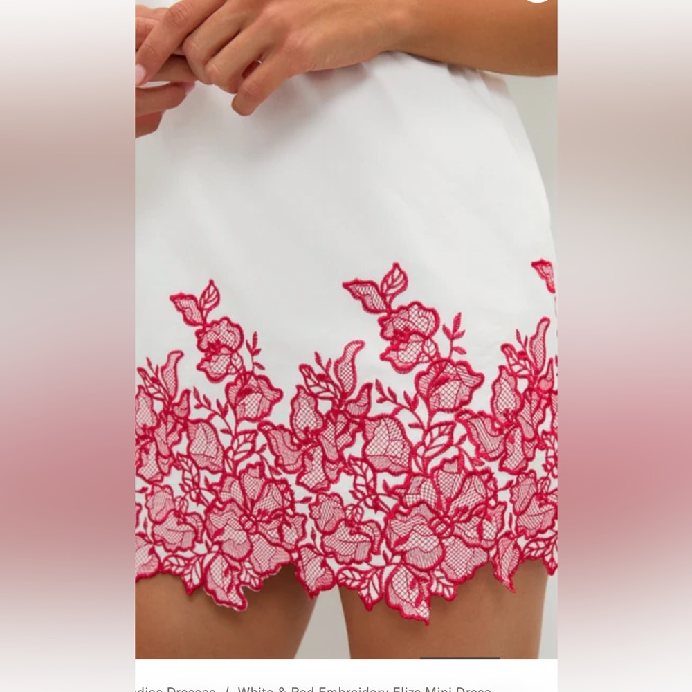 White Mini Dress with Pink Embroidered Hem and Sleeve Accents - Picture 3 of 6